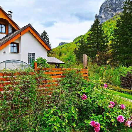 Ingreen House Bohinjska Bela Zewnętrze zdjęcie