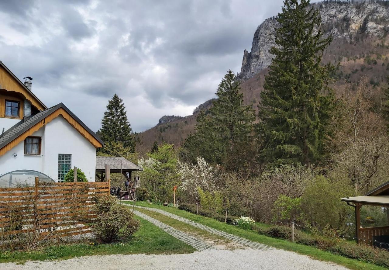 Ingreen House Bohinjska Bela Zewnętrze zdjęcie