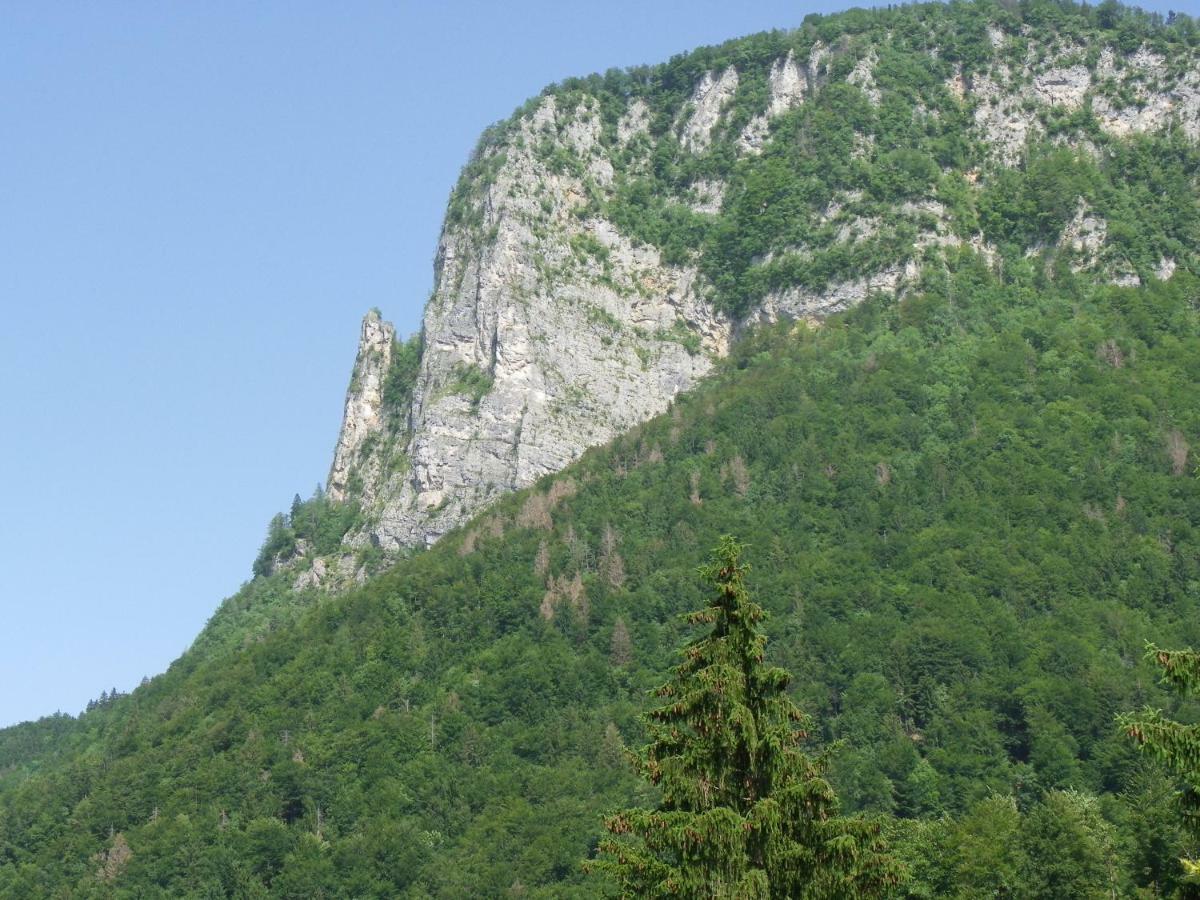 Ingreen House Bohinjska Bela Zewnętrze zdjęcie